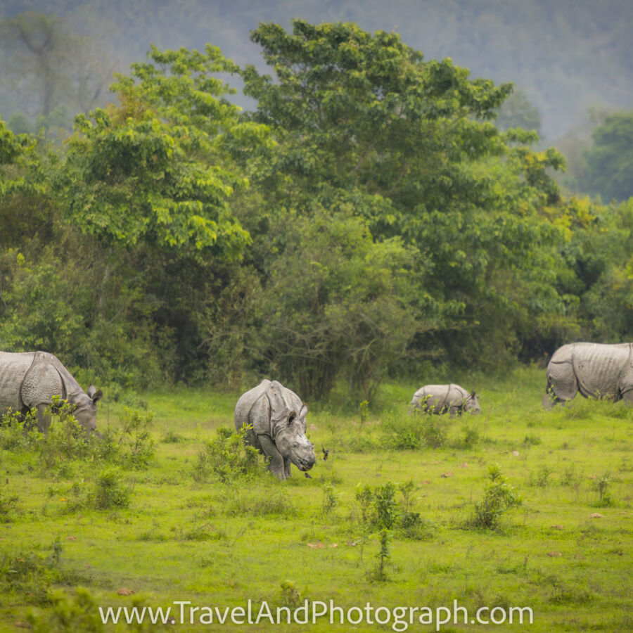 Y0 A1751