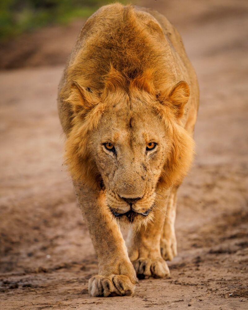 581950366 10236920707172093 346689118009857327 n