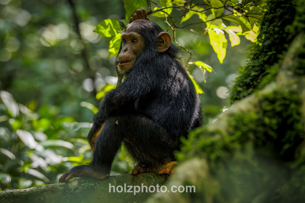 32 A7882 Enhanced NR