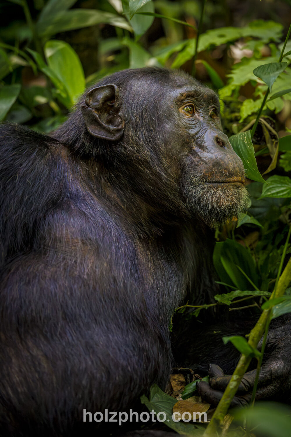 32 A8340 Enhanced NR