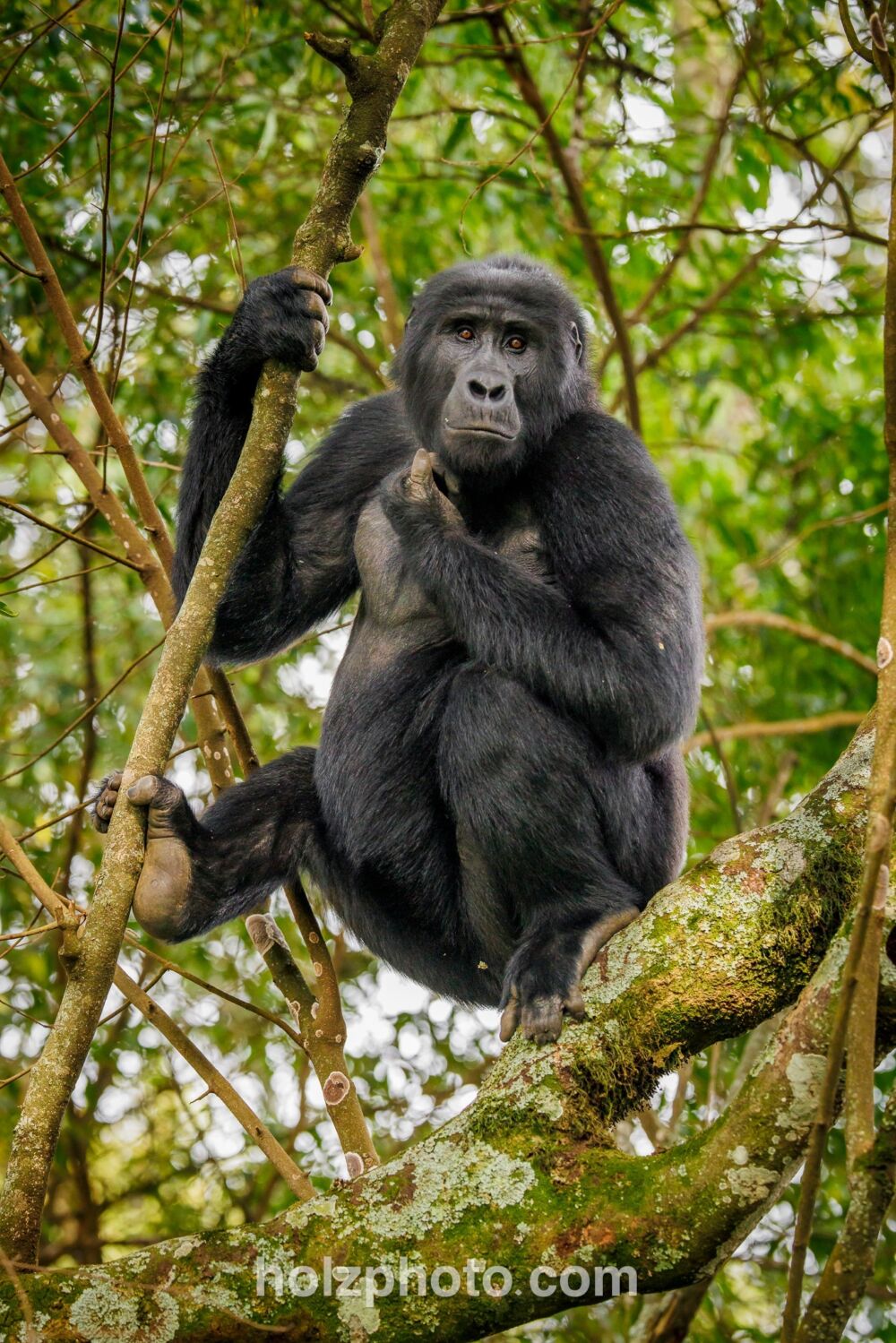 581293613 10236920720412424 5930463961696309917 n