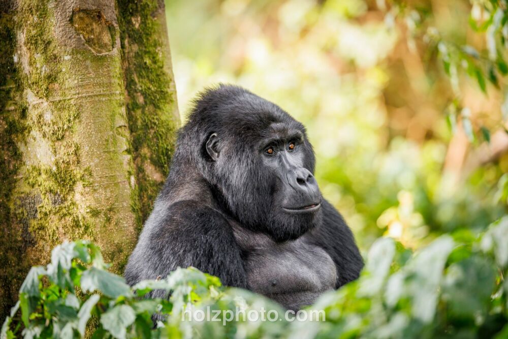 581580696 10236920708572128 7377189009964369999 n