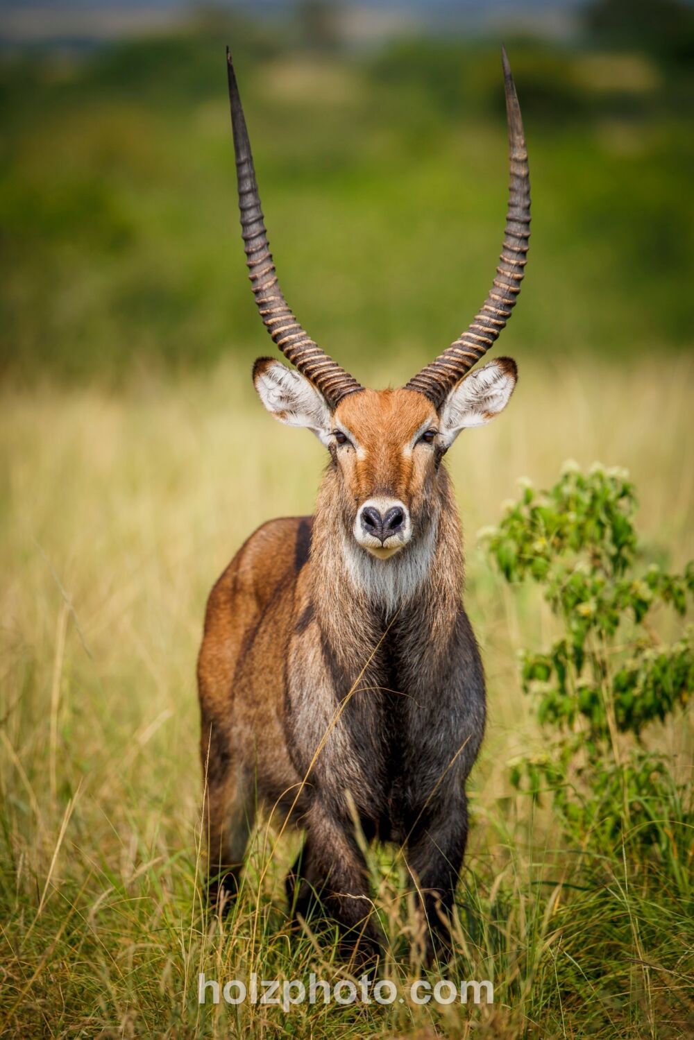 581620777 10236920714532277 5003015592232389140 n