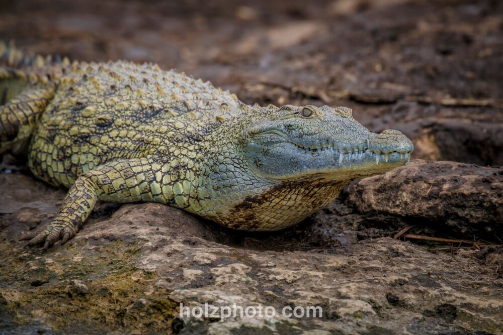 581681507 10236920716292321 1150684563255540985 n