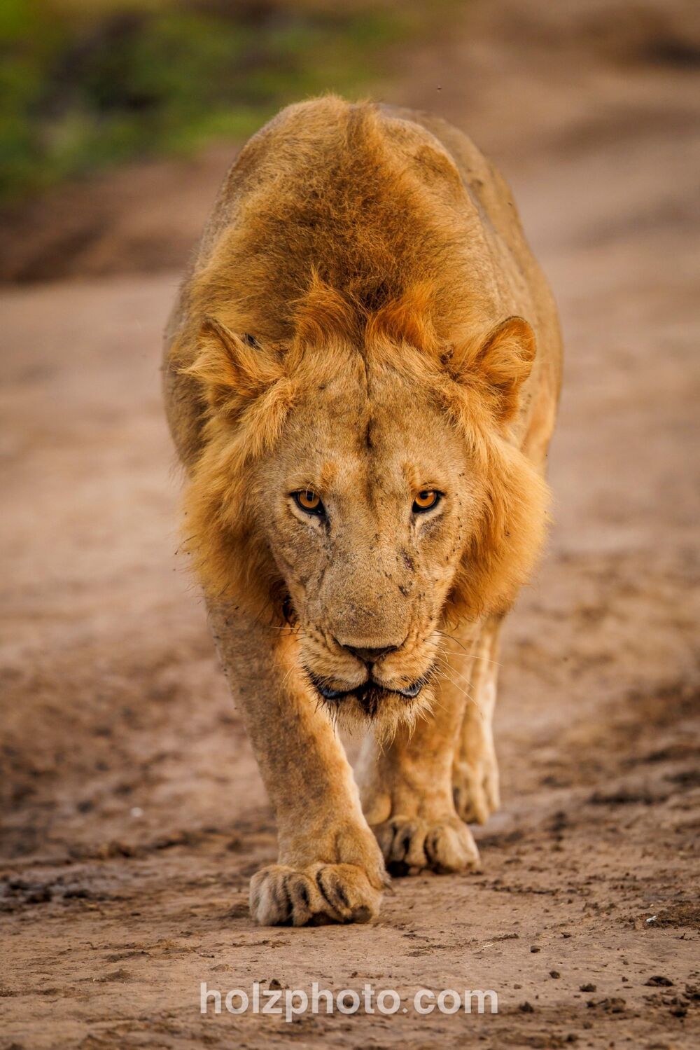 581950366 10236920707172093 346689118009857327 n