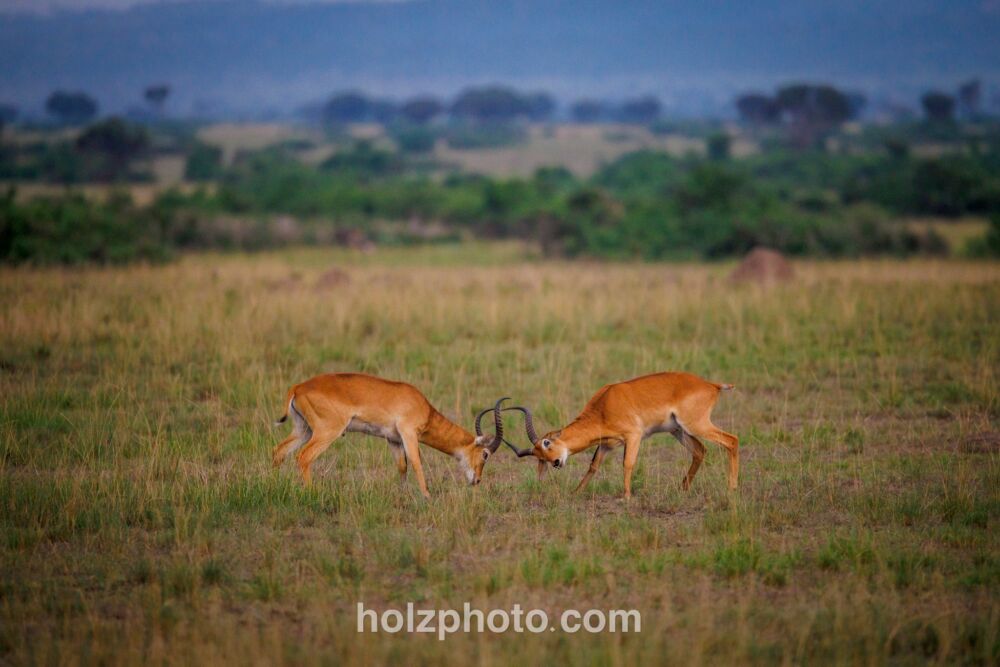 582315892 10236920715252295 558976030499054447 n