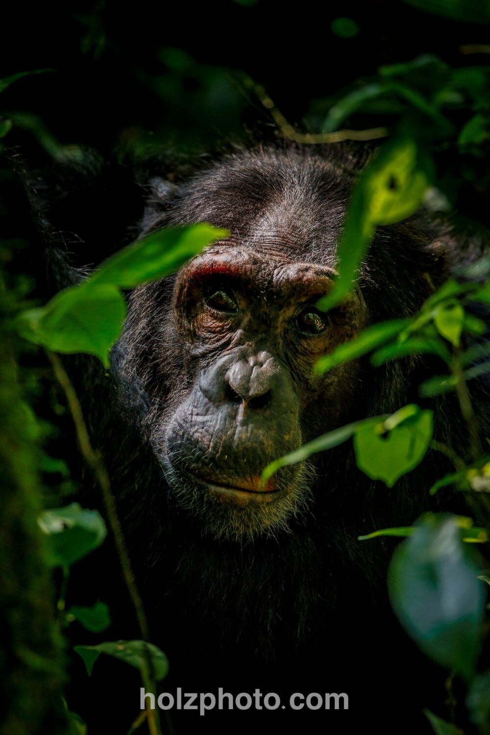 582356195 10236920714292271 2580768748755028732 n