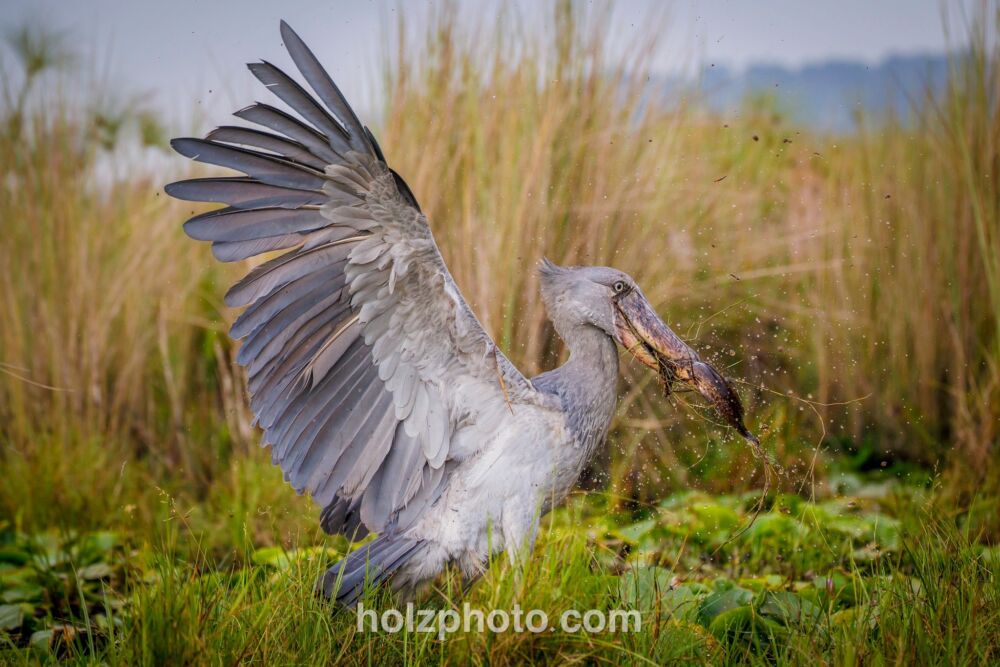 582553010 10236920705412049 4267145687162208568 n