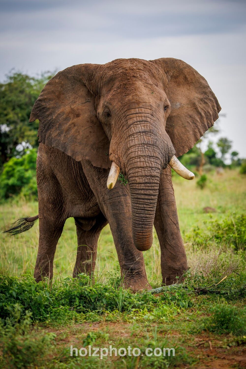 583047875 10236920719052390 8248642682704943002 n