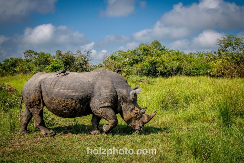 583227544 10236920706452075 4500465716116194945 n