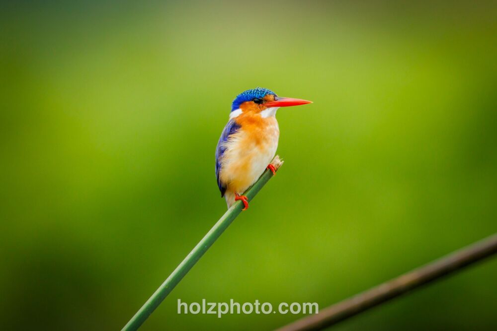 583296181 10236920712732232 3511608063935325958 n