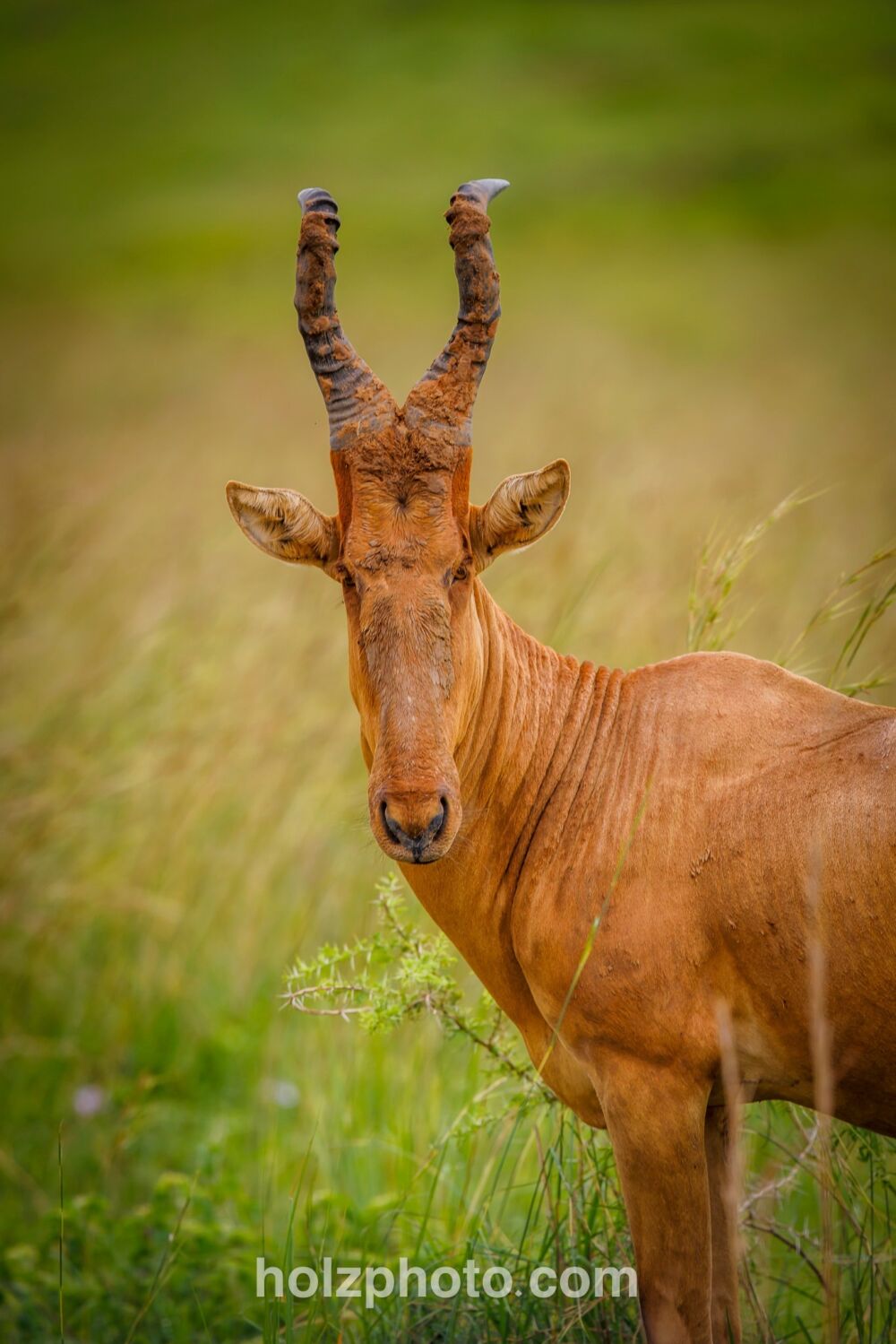 583327588 10236920713132242 5808228952411873657 n