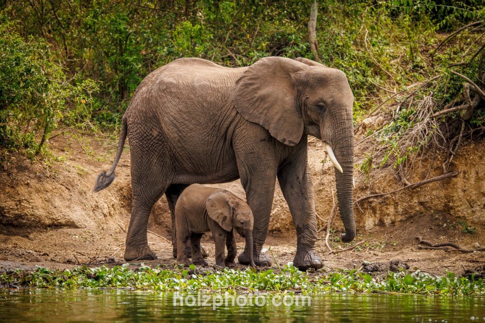 583729949 10236920717532352 2186188679608219164 n