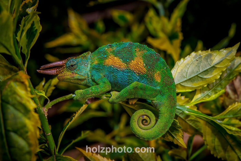 583800460 10236920716012314 1217572486876123055 n