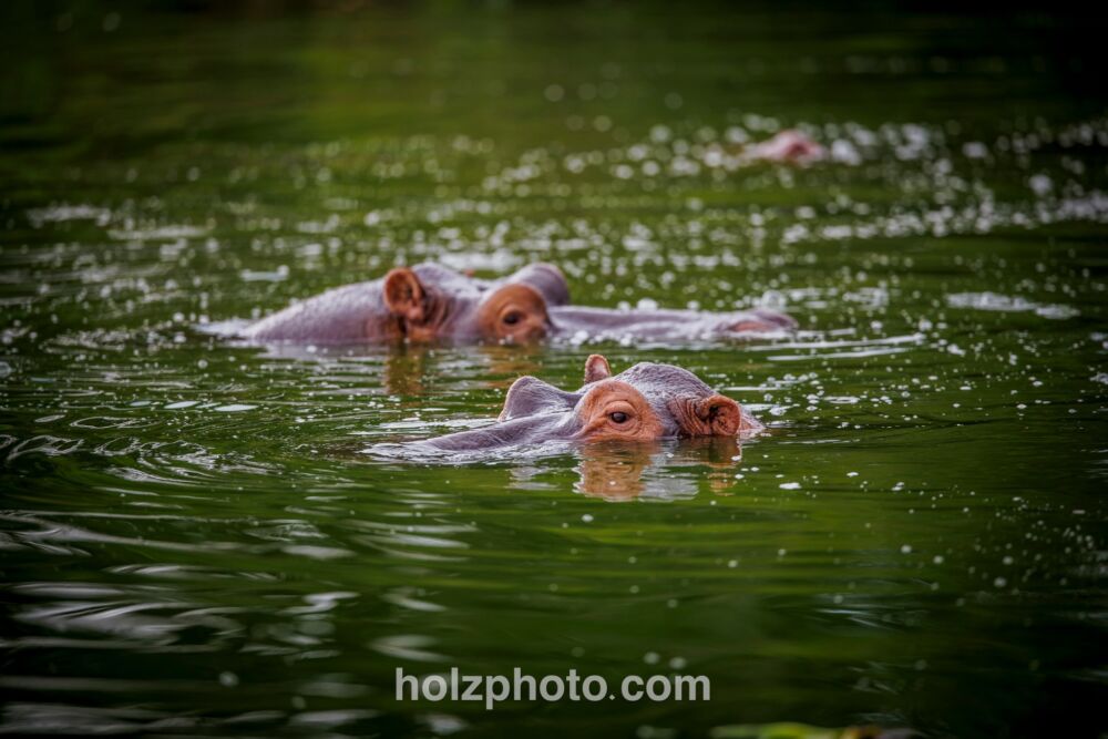 583803237 10236920713532252 6884410856567558577 n