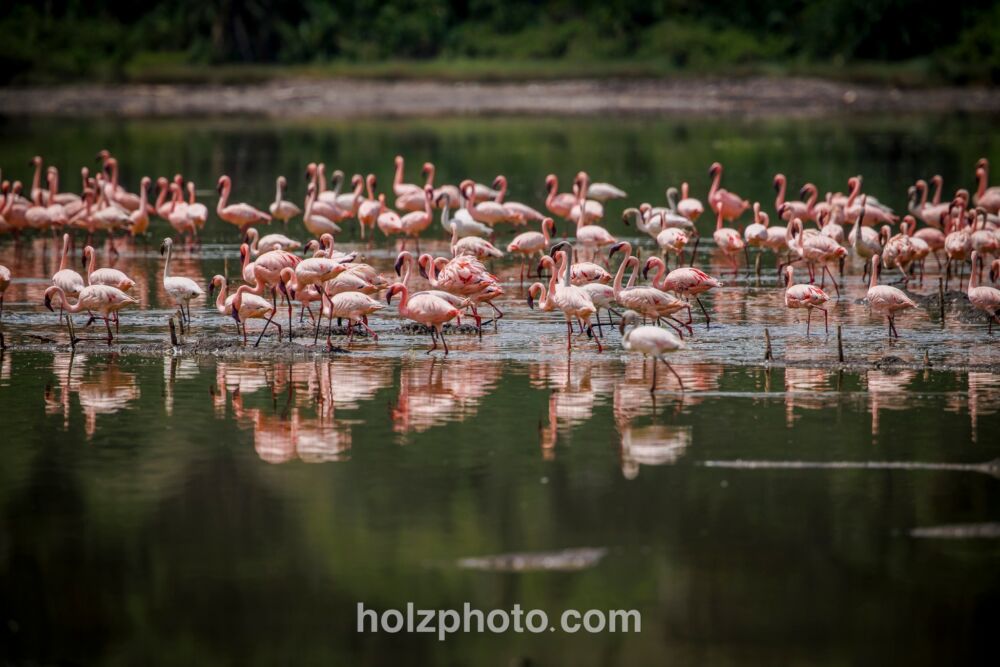 583914750 10236920714052265 5004002888815593098 n