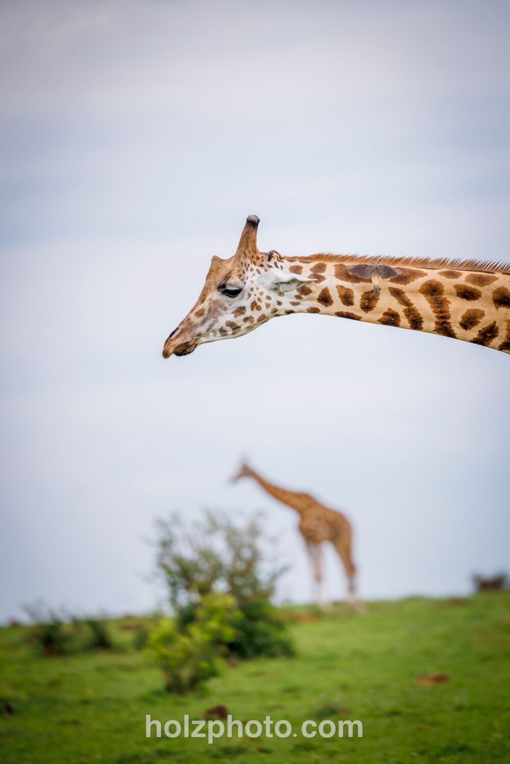 583917219 10236920712092216 2583783890493087538 n