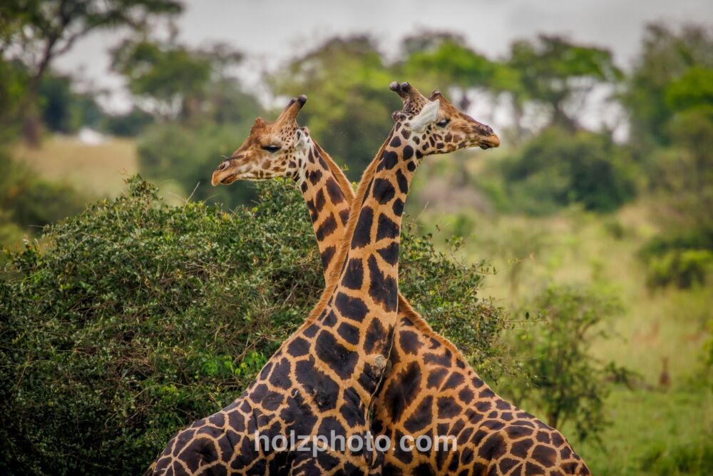 584054526 10236920715612304 289808923430190975 n