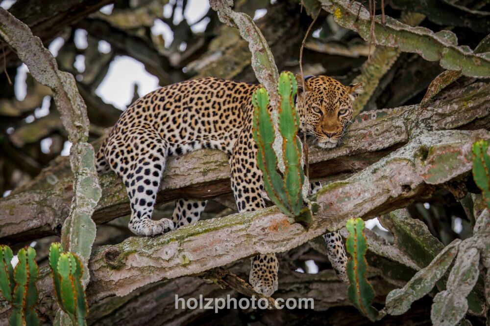 584289733 10236920716532327 6917547368597467136 n