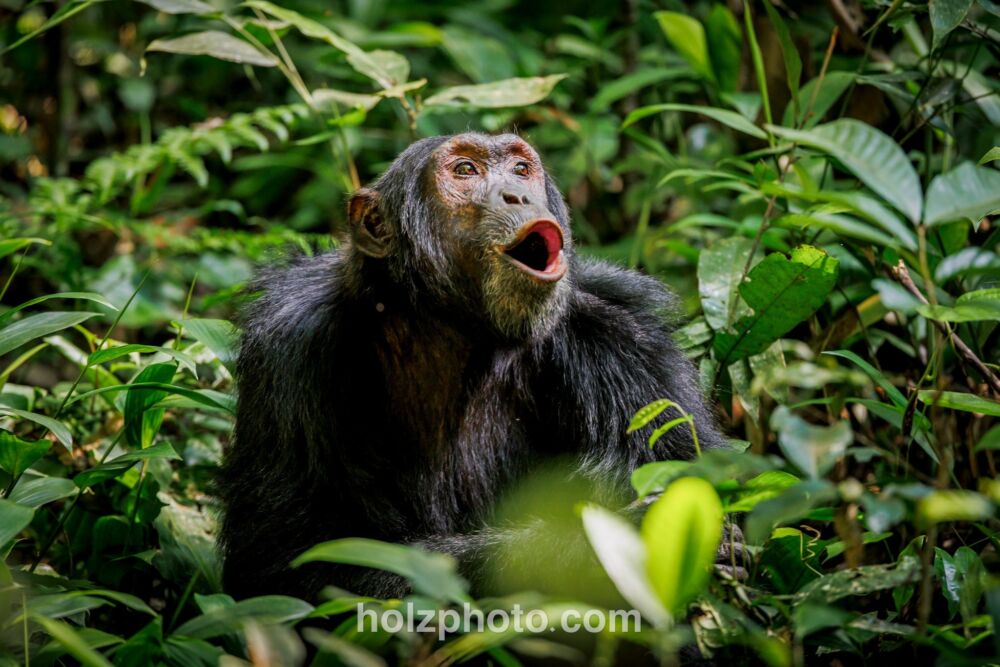 584322017 10236920715212294 390921967084167690 n