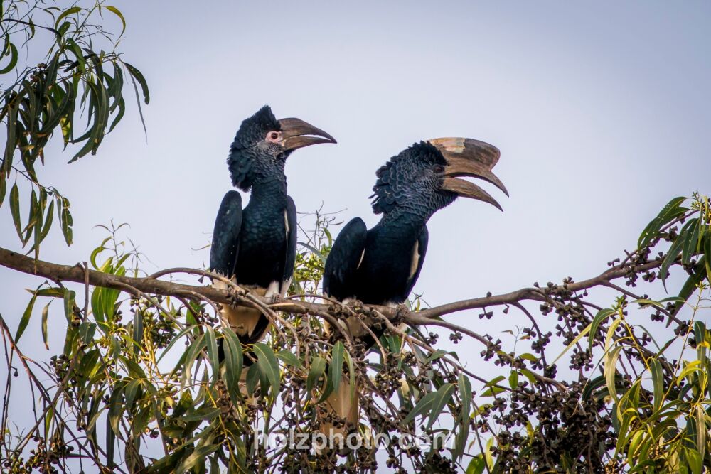 584322017 10236920720012414 7004912970728016913 n