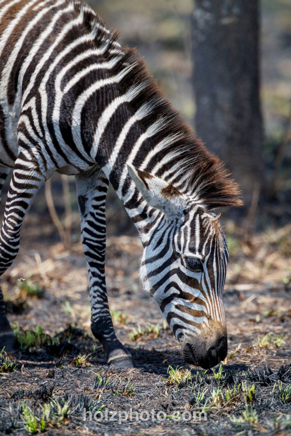 584536463 10236920719372398 1546734795931423356 n