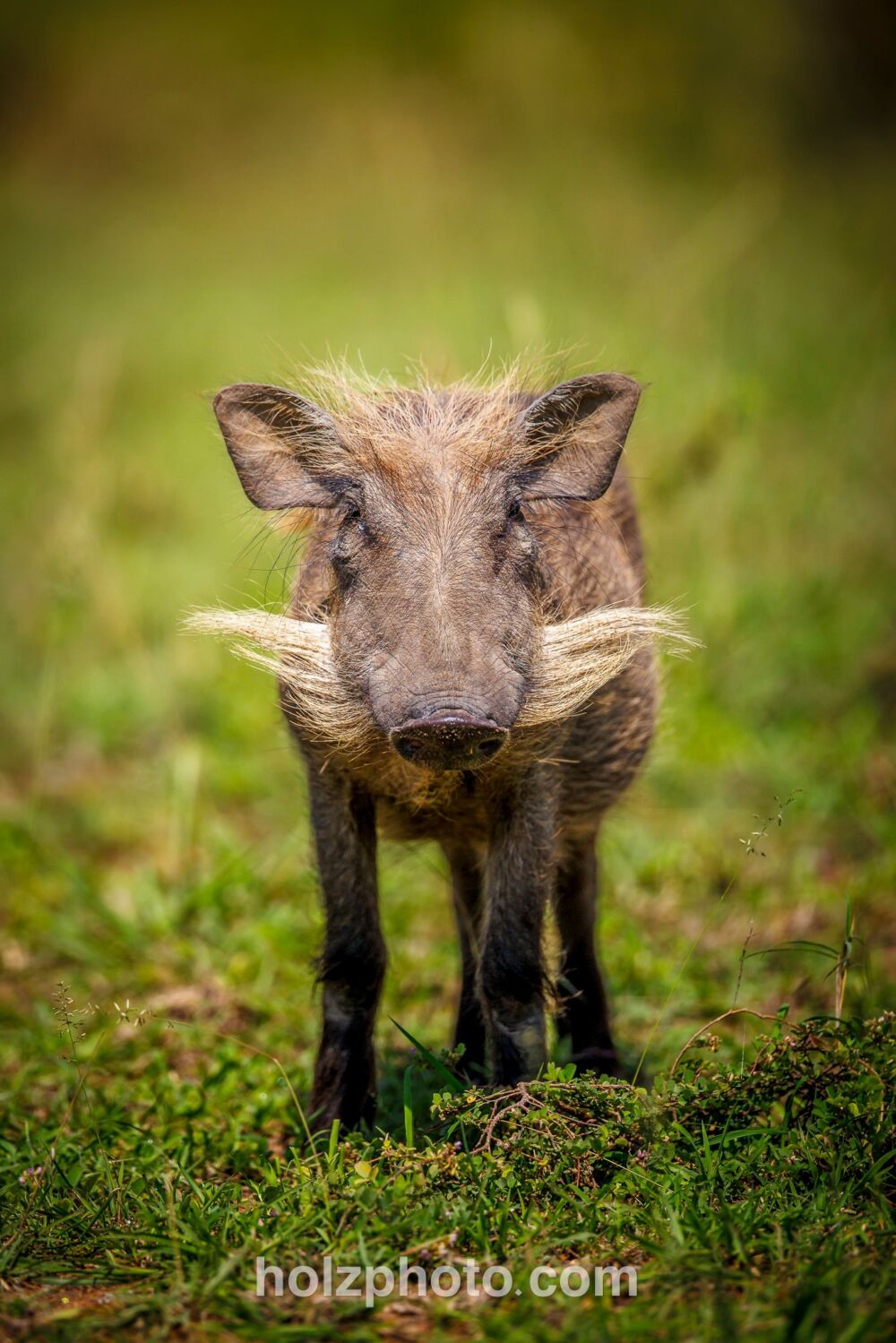 584981649 10236920718732382 5149178769088767028 n