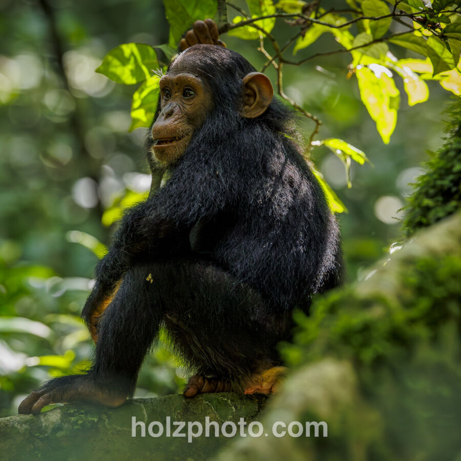 32 A7882 Enhanced NR