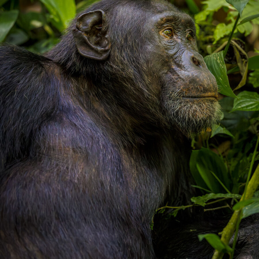 32 A8340 Enhanced NR