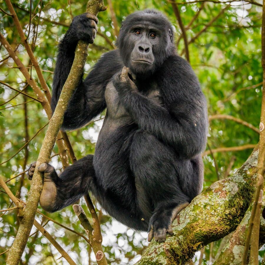 581293613 10236920720412424 5930463961696309917 n