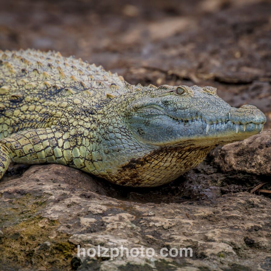 581681507 10236920716292321 1150684563255540985 n