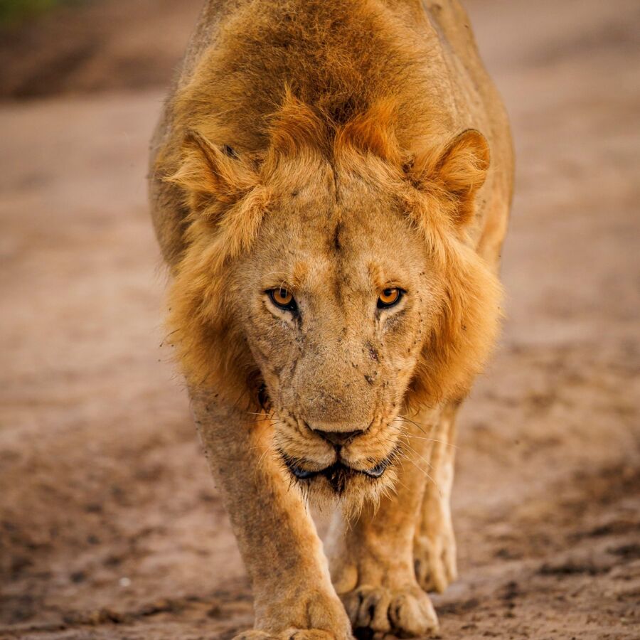 581950366 10236920707172093 346689118009857327 n