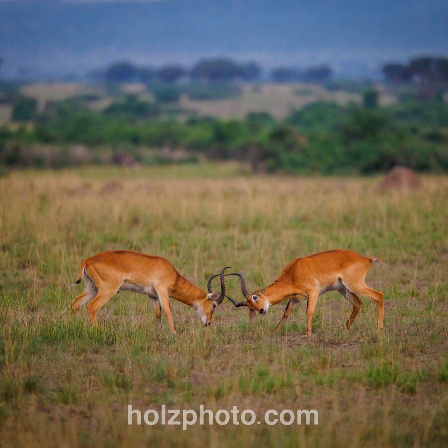 582315892 10236920715252295 558976030499054447 n