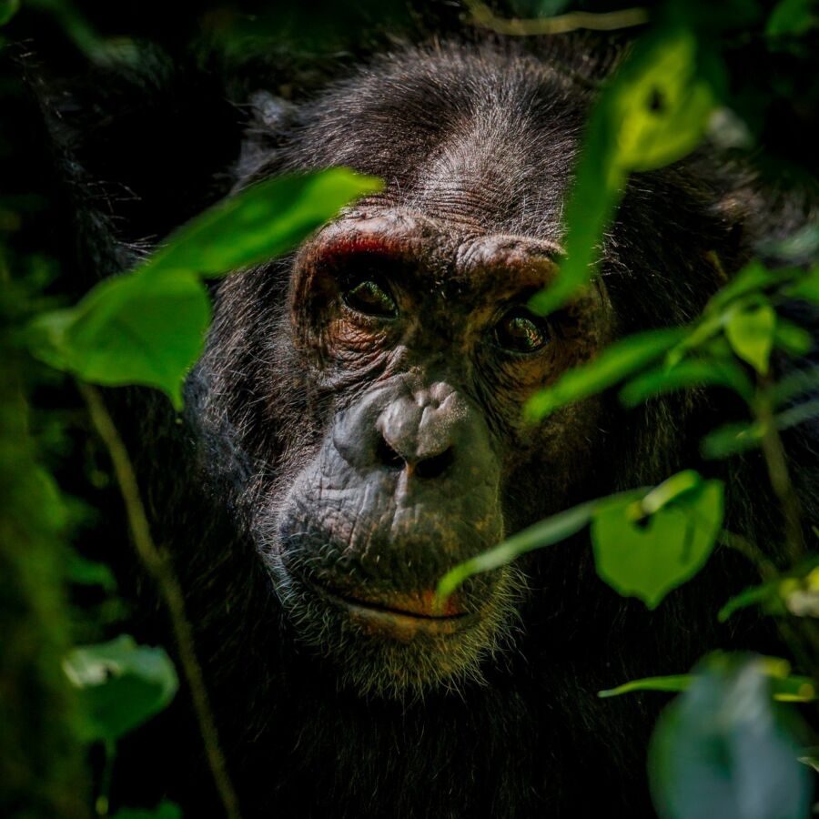 582356195 10236920714292271 2580768748755028732 n