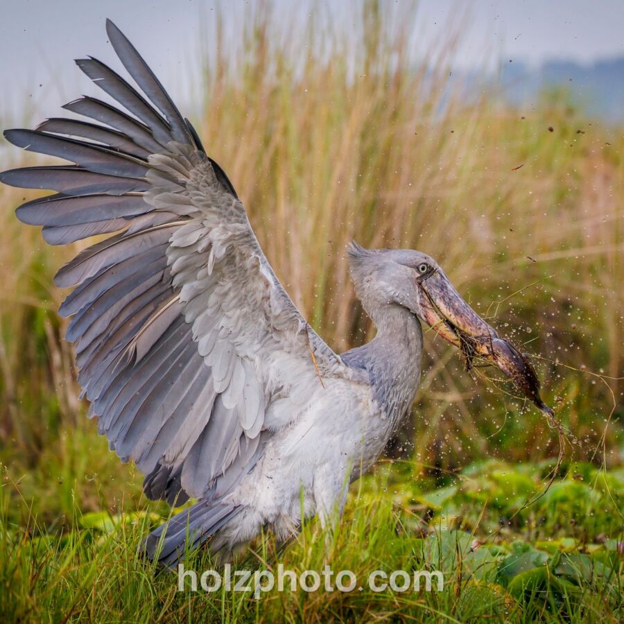 582553010 10236920705412049 4267145687162208568 n