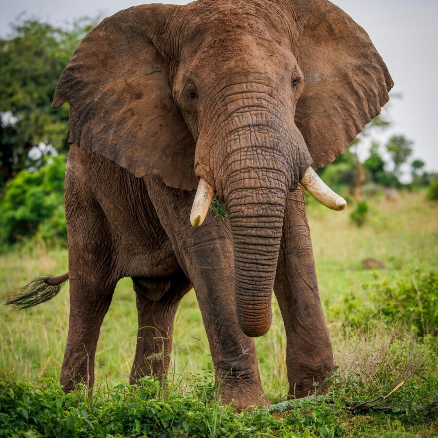 583047875 10236920719052390 8248642682704943002 n