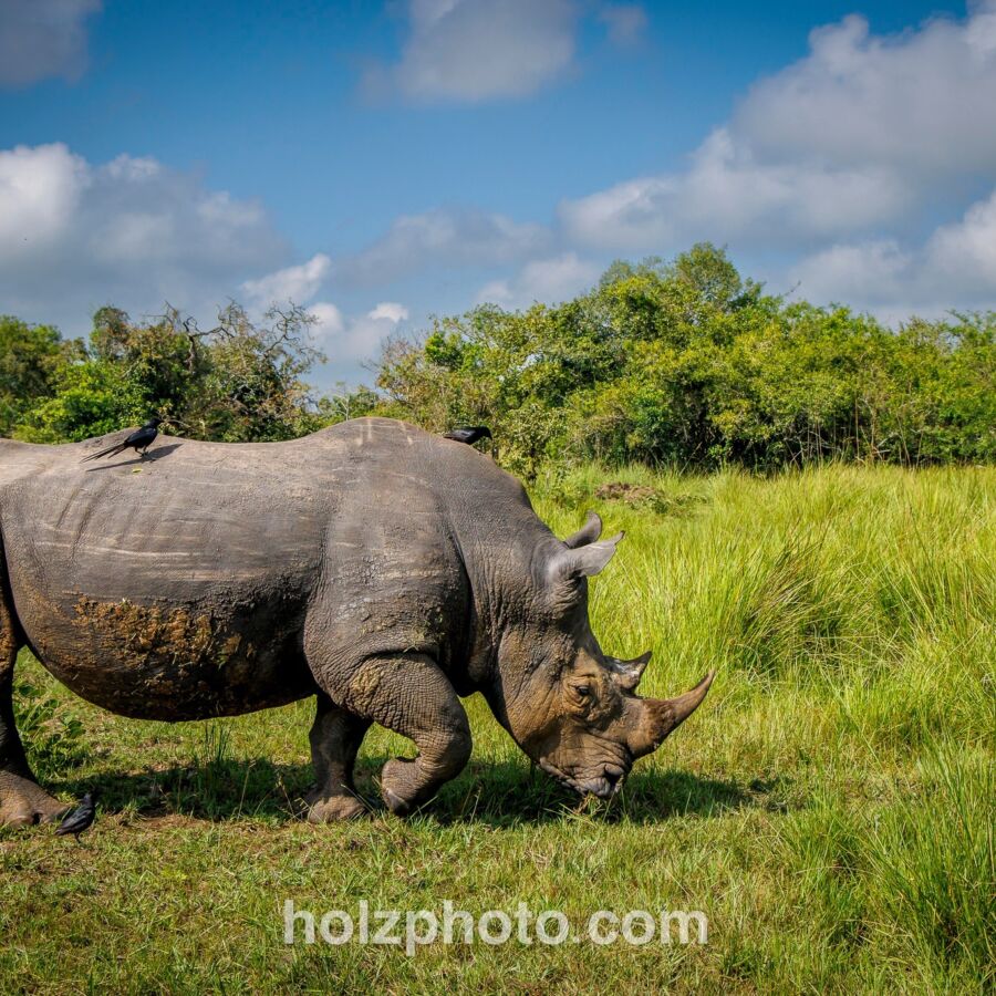 583227544 10236920706452075 4500465716116194945 n