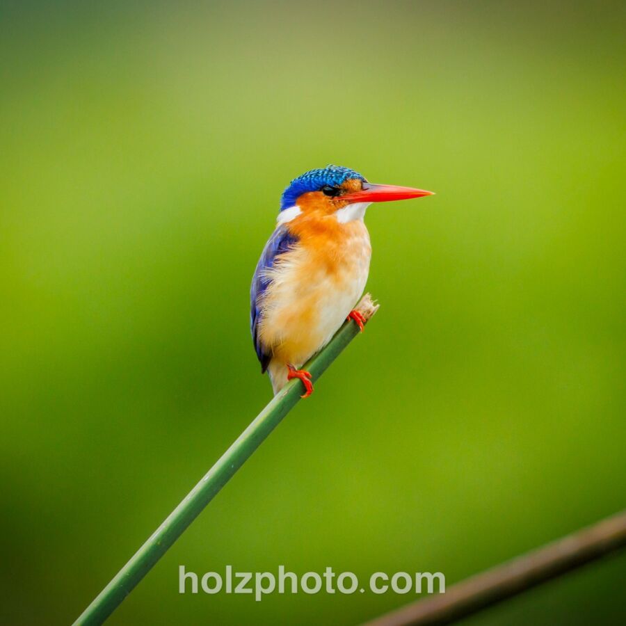 583296181 10236920712732232 3511608063935325958 n