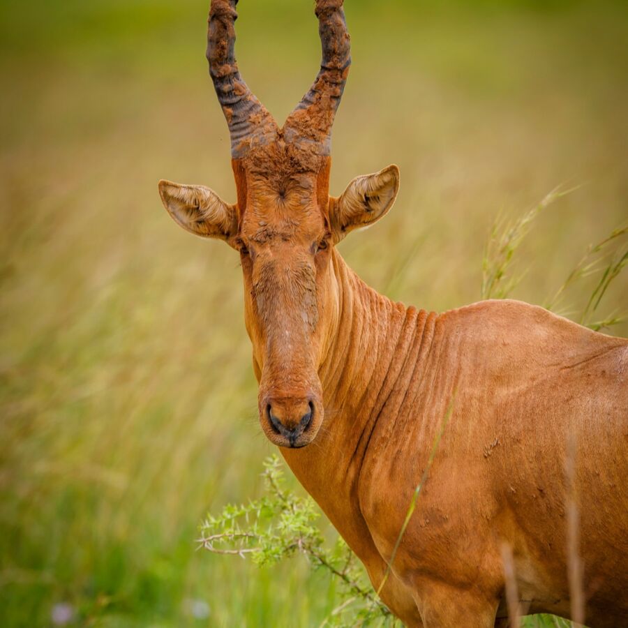 583327588 10236920713132242 5808228952411873657 n