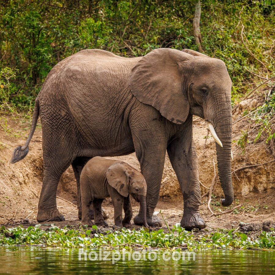 583729949 10236920717532352 2186188679608219164 n