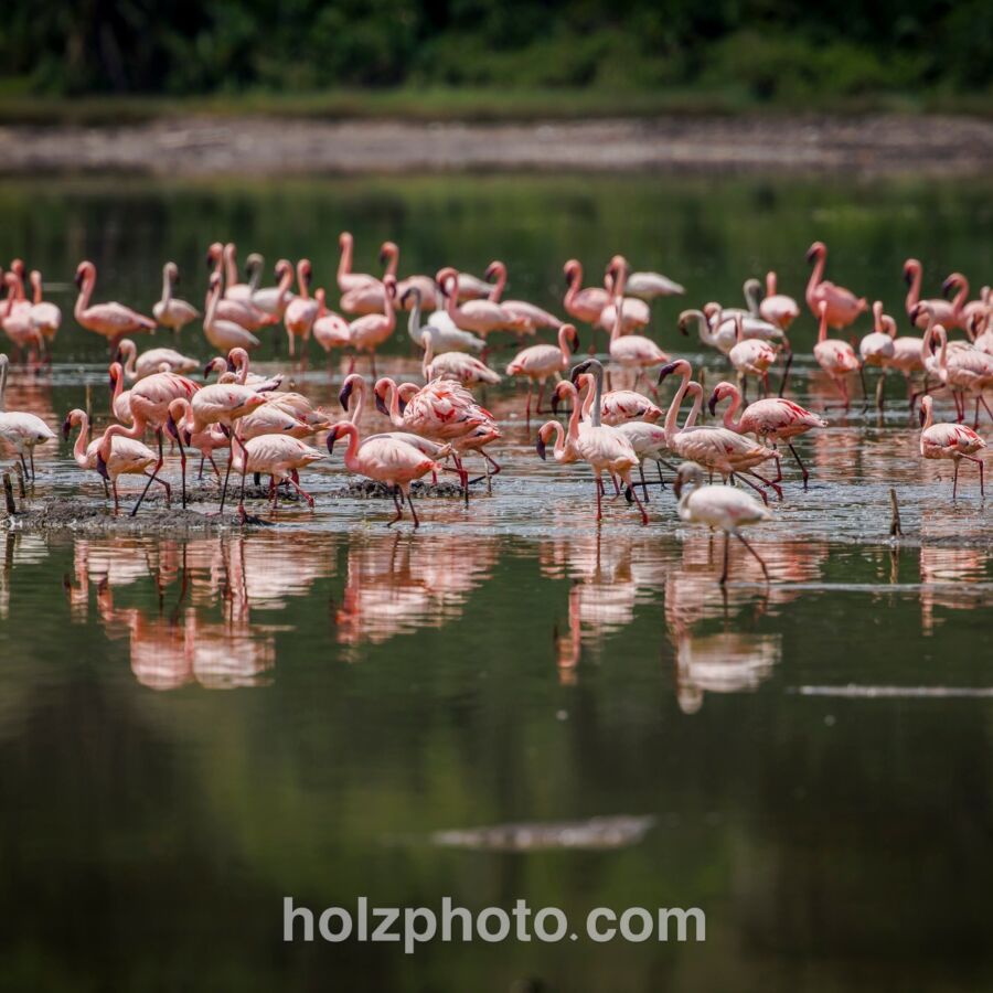 583914750 10236920714052265 5004002888815593098 n