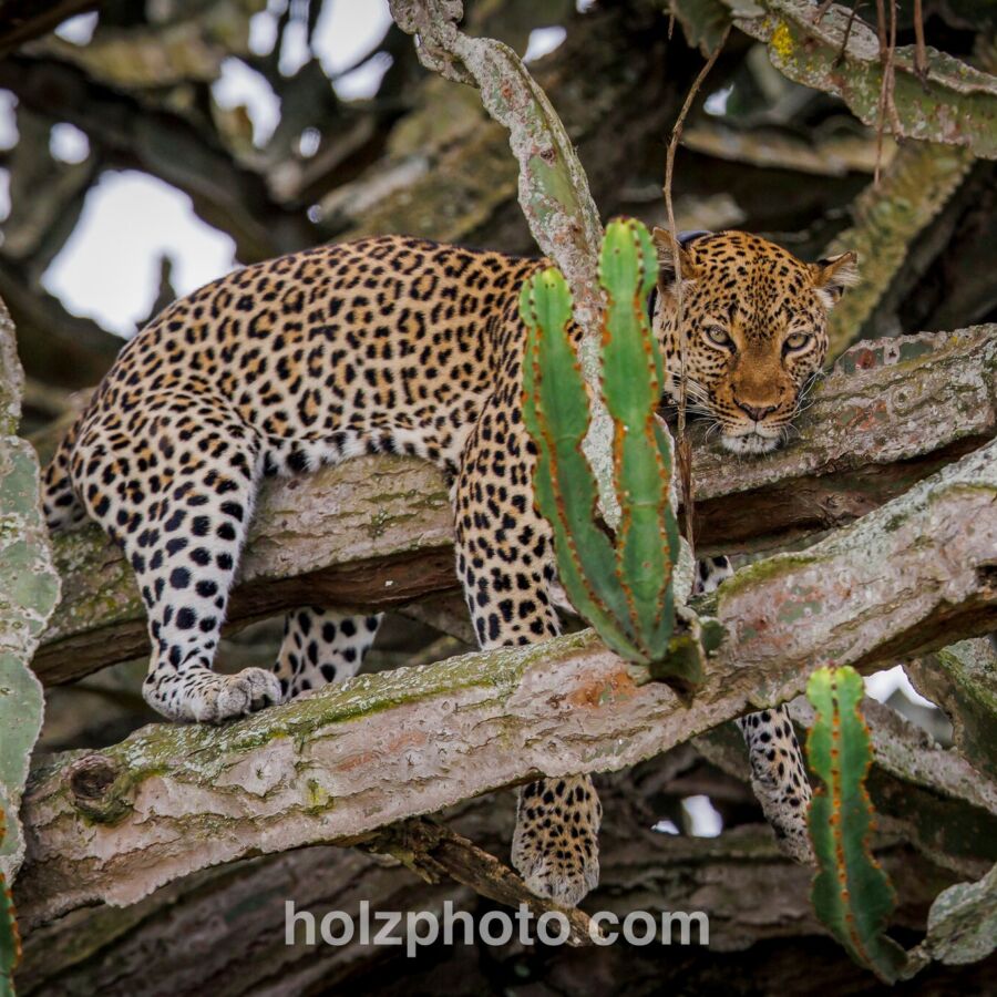 584289733 10236920716532327 6917547368597467136 n