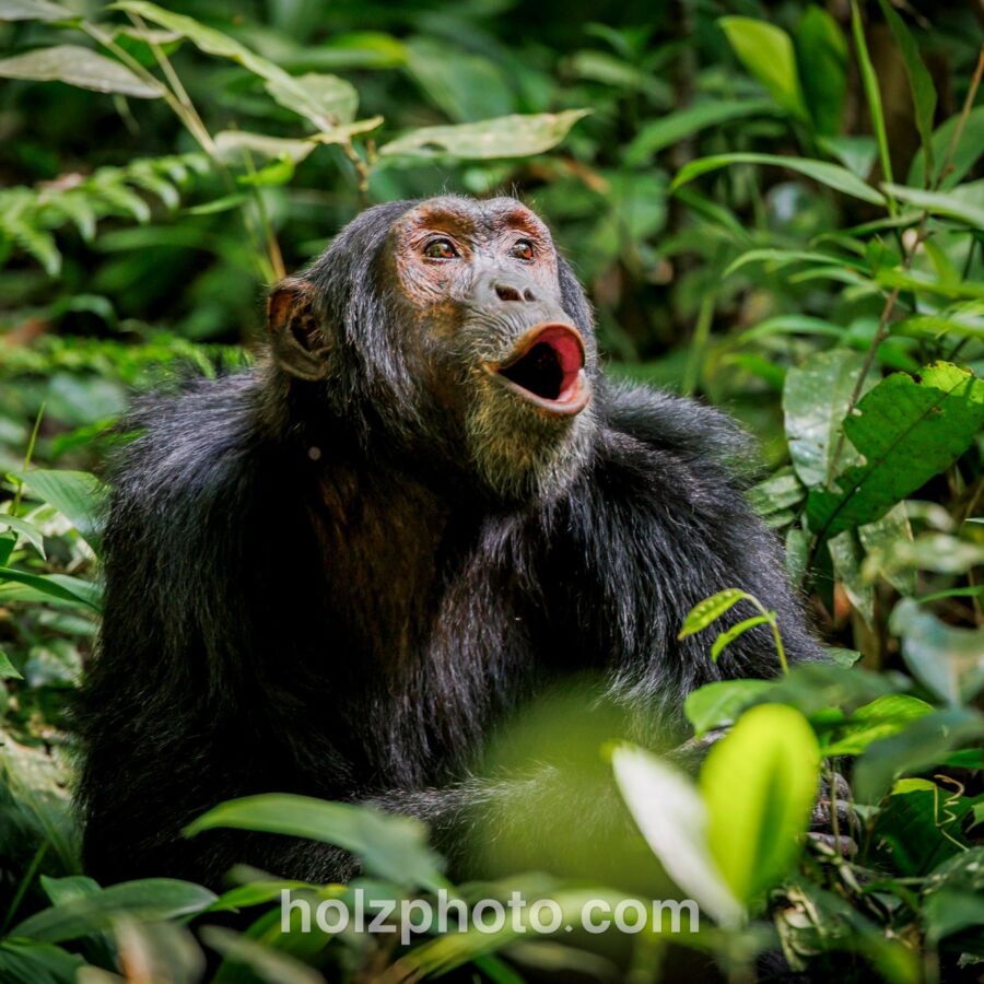 584322017 10236920715212294 390921967084167690 n