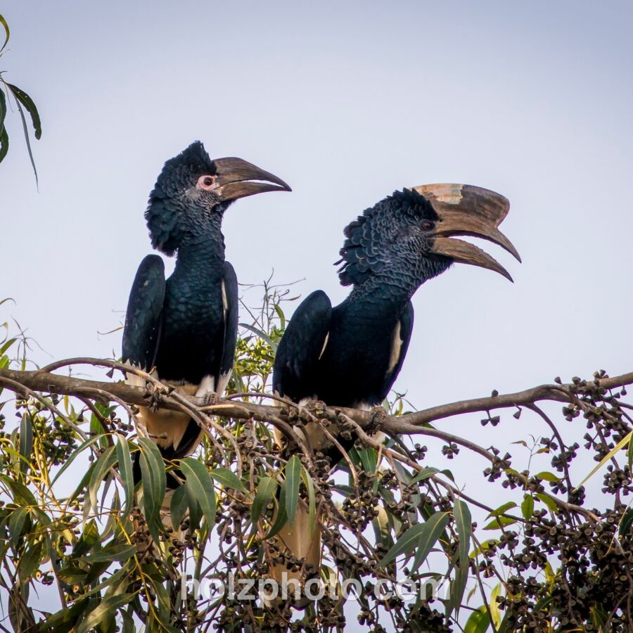 584322017 10236920720012414 7004912970728016913 n