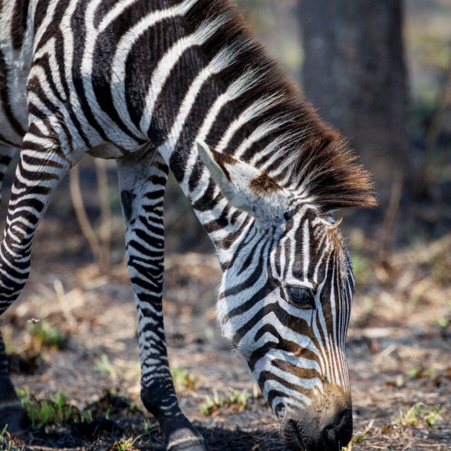 584536463 10236920719372398 1546734795931423356 n