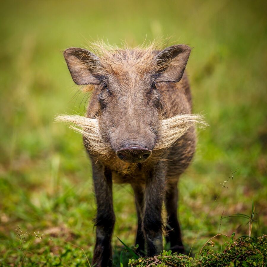 584981649 10236920718732382 5149178769088767028 n